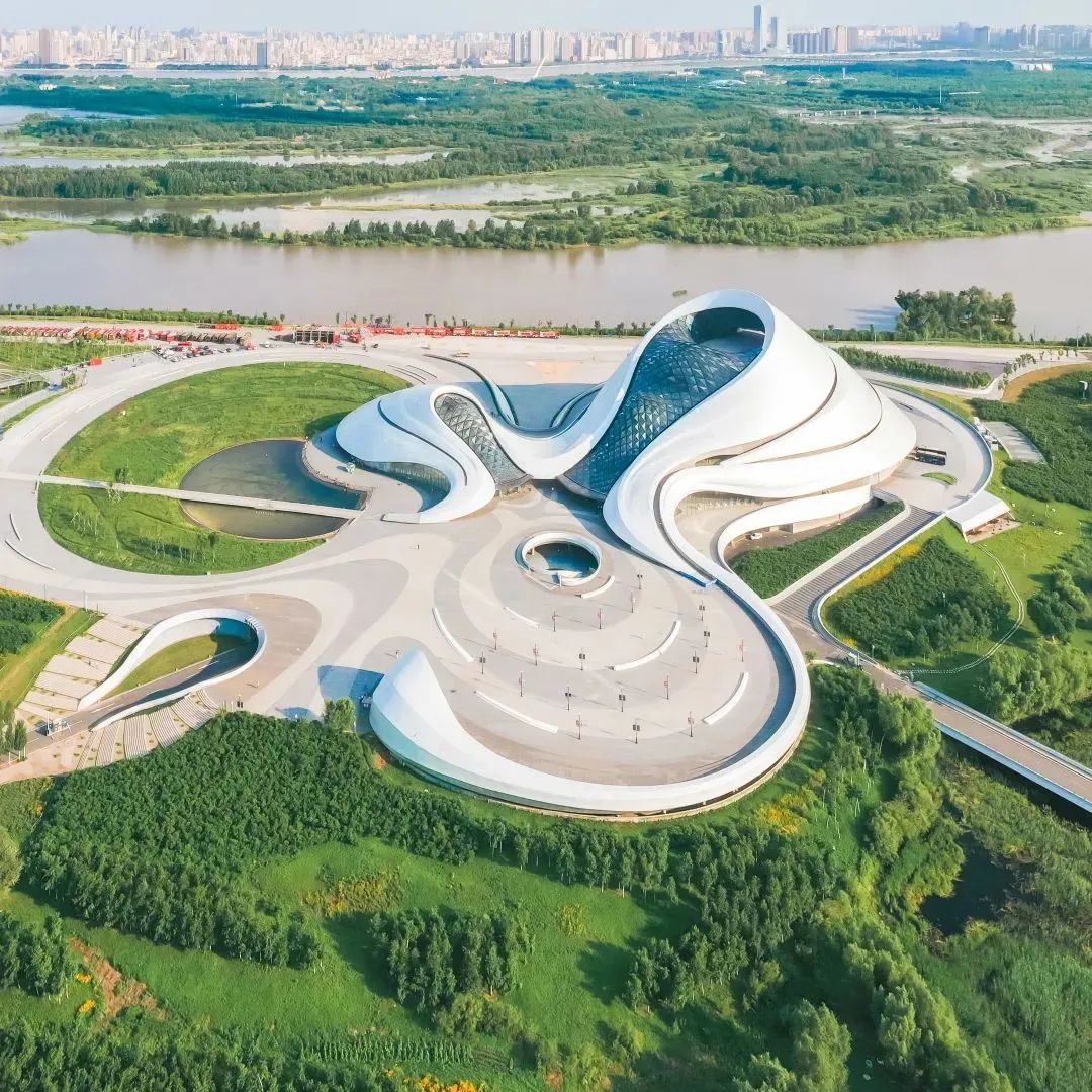 逐夢亞冬會｜銳豐智能助力2025年第9屆亞冬會倒計時300天主題活動